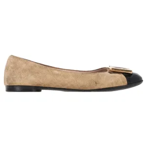 Ferragamo Cap Toe Ballerinas in Brown Suede