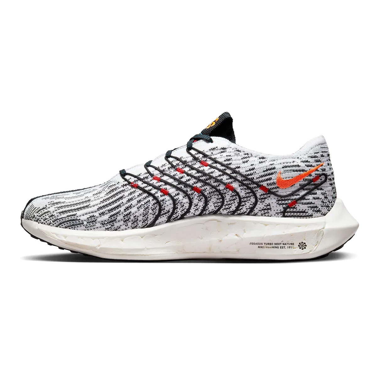 Nike Pegasus Turbo Next Nature
