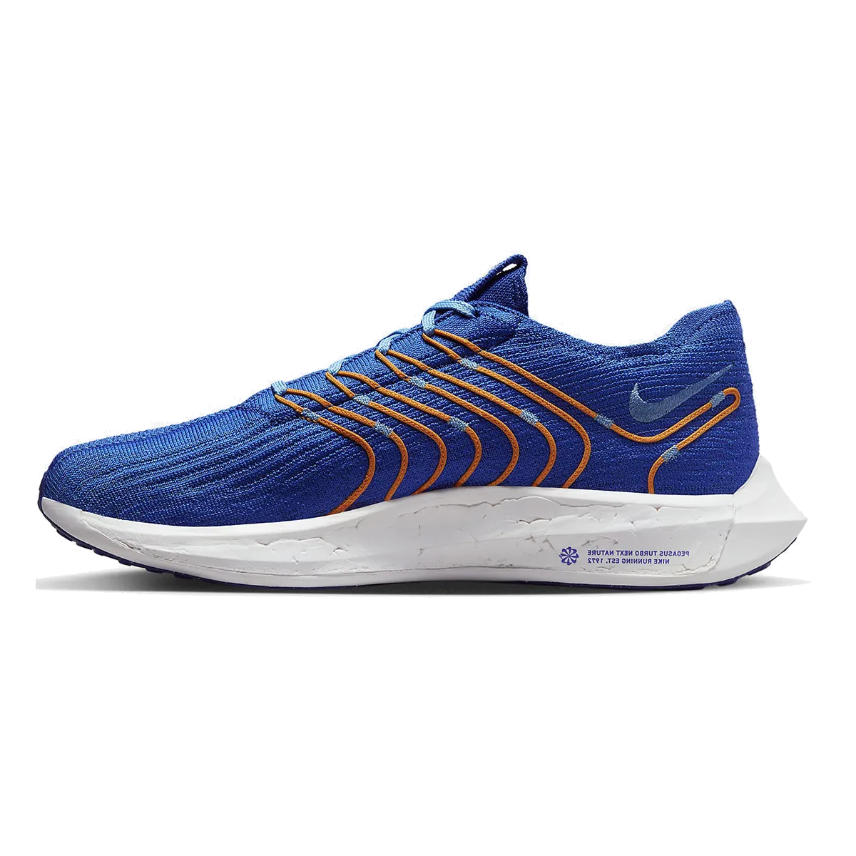 Nike Pegasus Turbo Next Nature