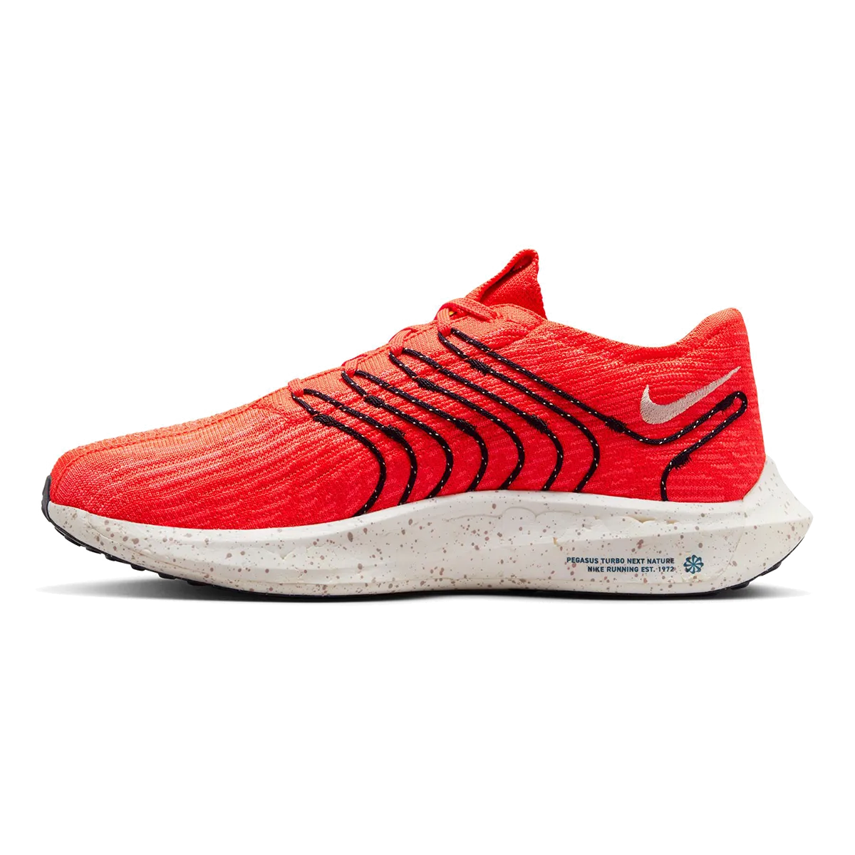 Nike Pegasus Turbo Next Nature