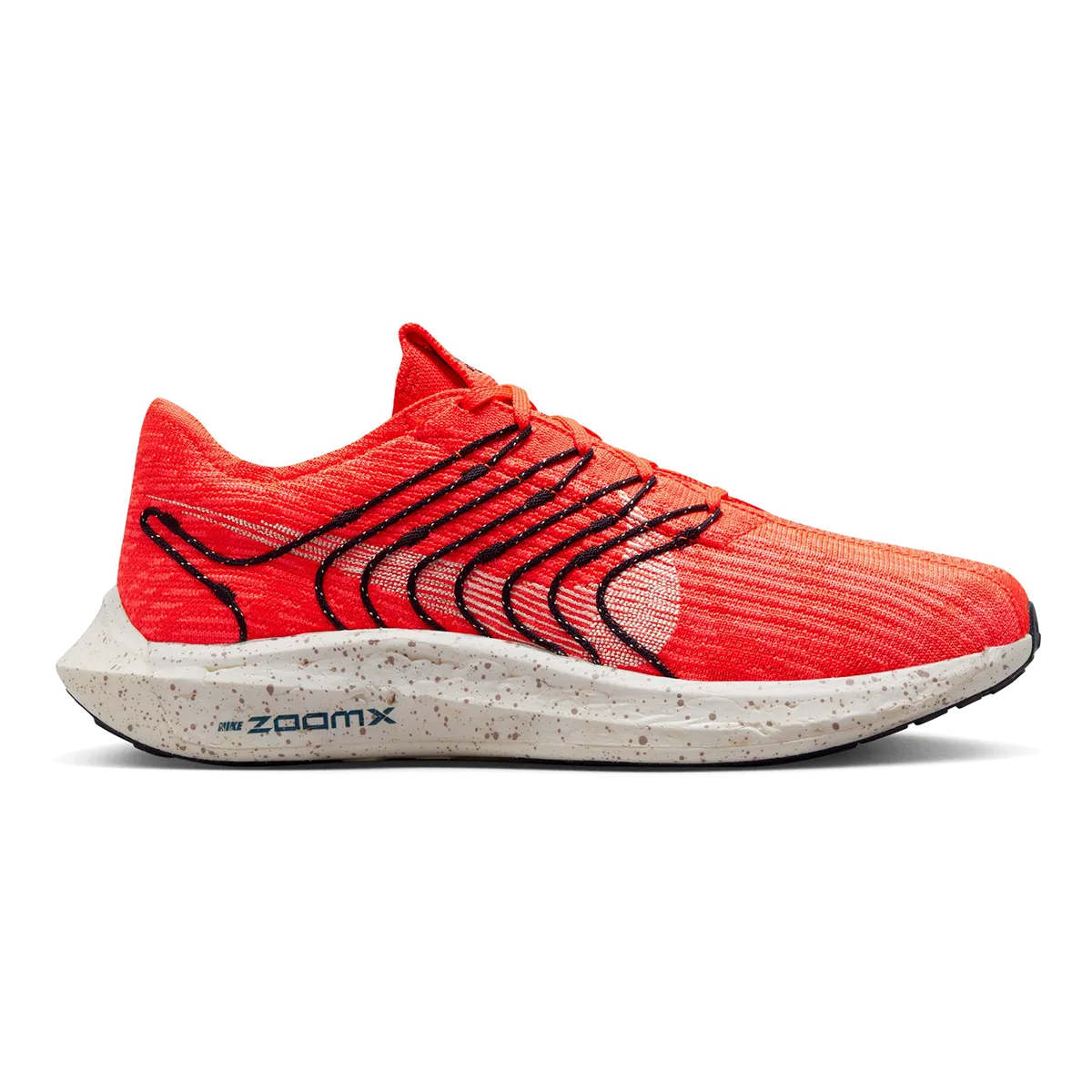 Nike Pegasus Turbo Next Nature