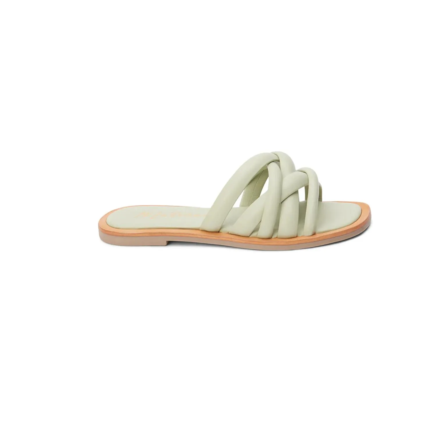 Women's Roy Flat Slide Sandals In Sage
