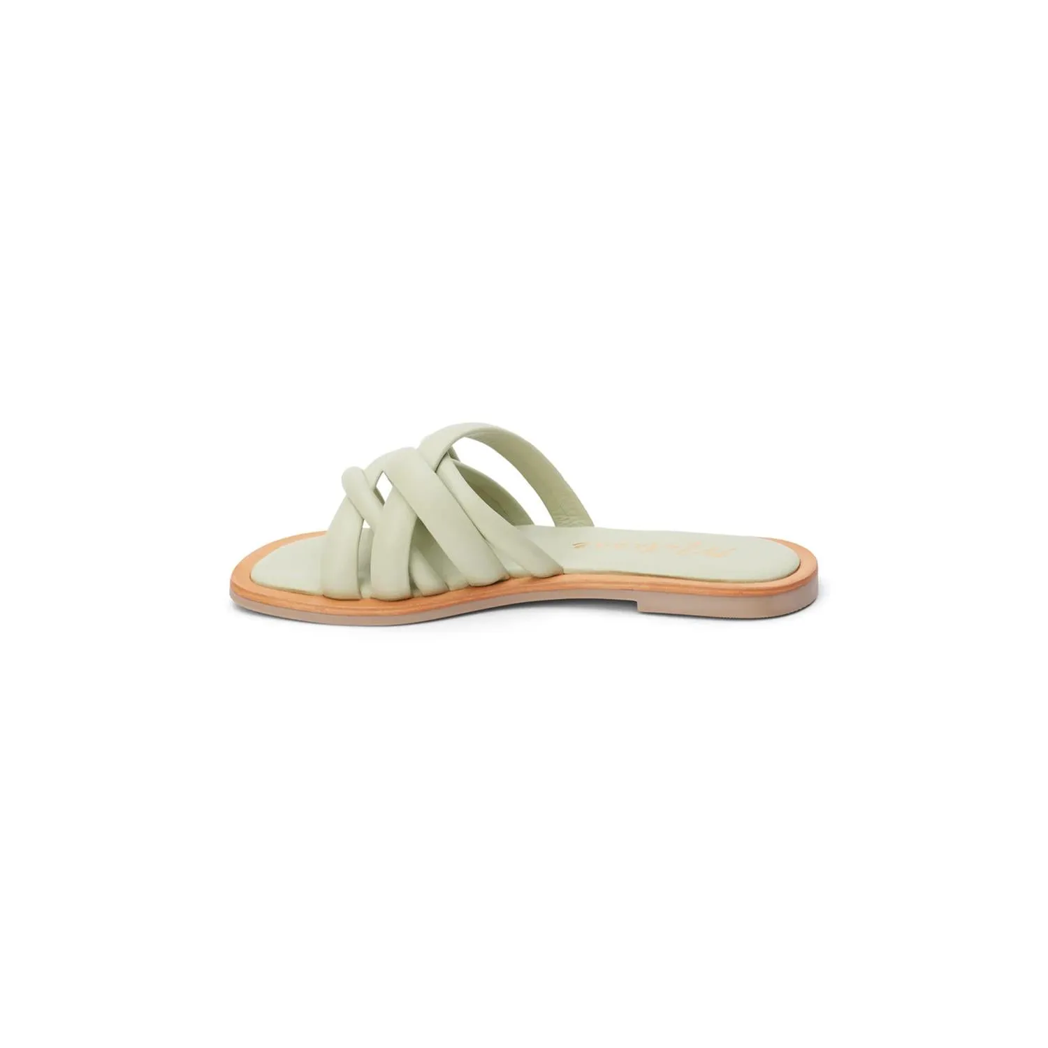 Women's Roy Flat Slide Sandals In Sage